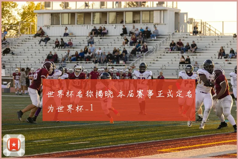 世界杯名称揭晓 本届赛事正式定名为世界杯_1