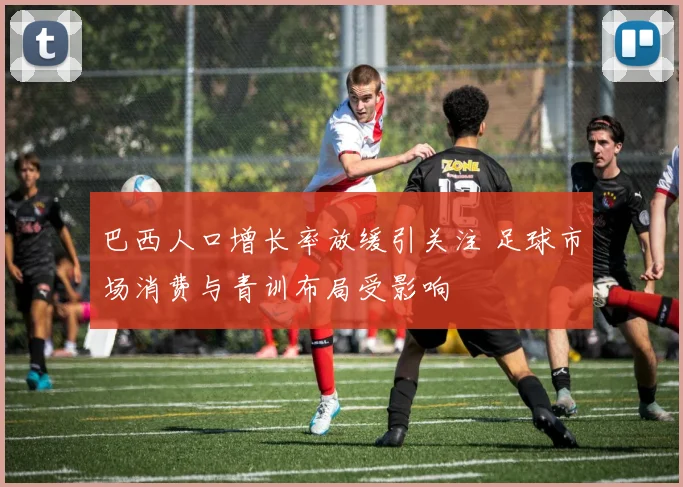 巴西人口增长率放缓引关注 足球市场消费与青训布局受影响