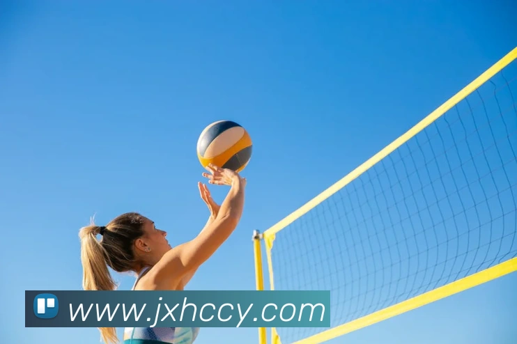 App Interface Preview