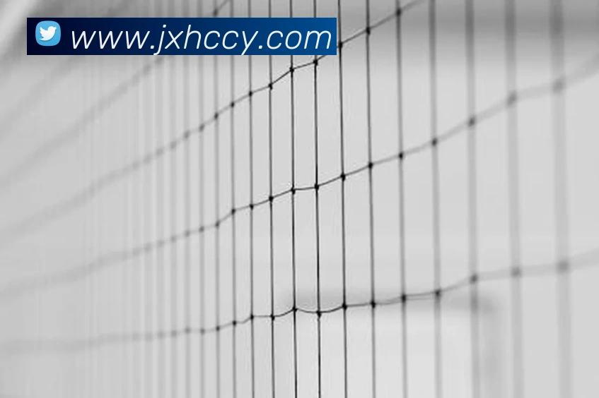 世界杯官网线上平台APP 封面图